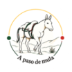A paso de mula
